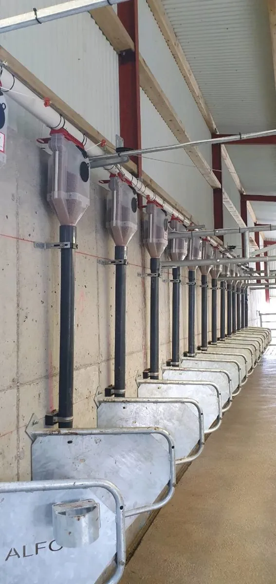 IDS Batch Feed Systems - Image 1