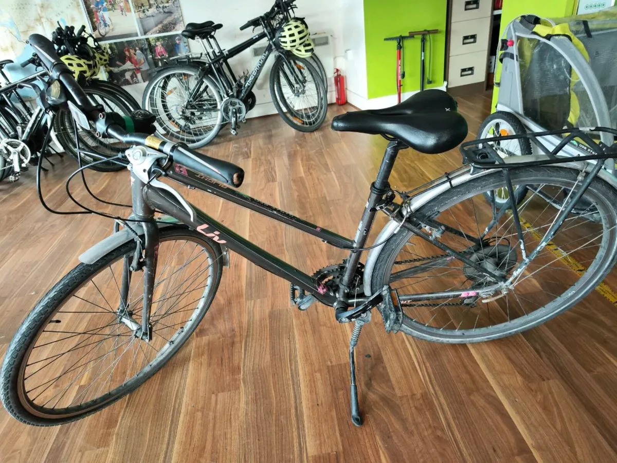 EX RENTAL HYBRID ADULT BIKES - Image 2