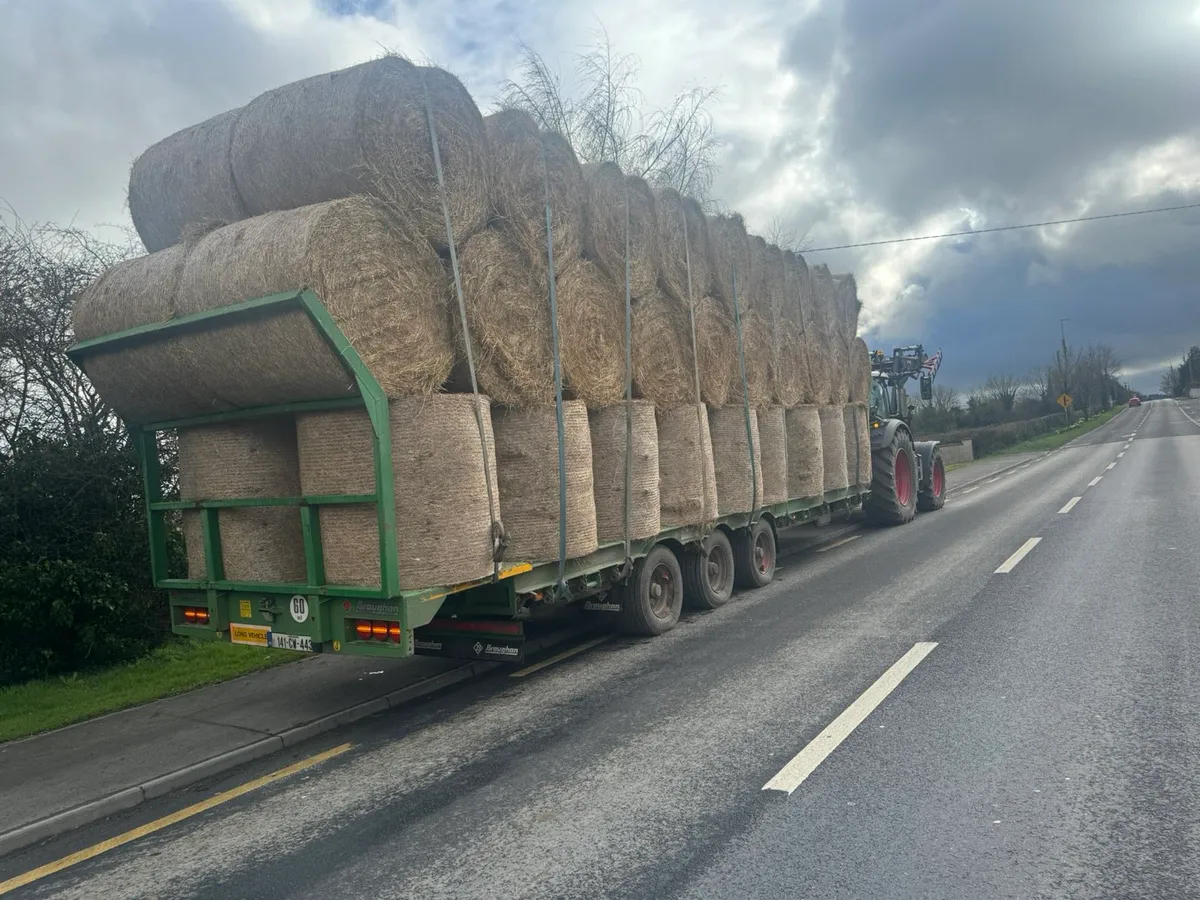 Top Class Hay and straw for sale - Image 3
