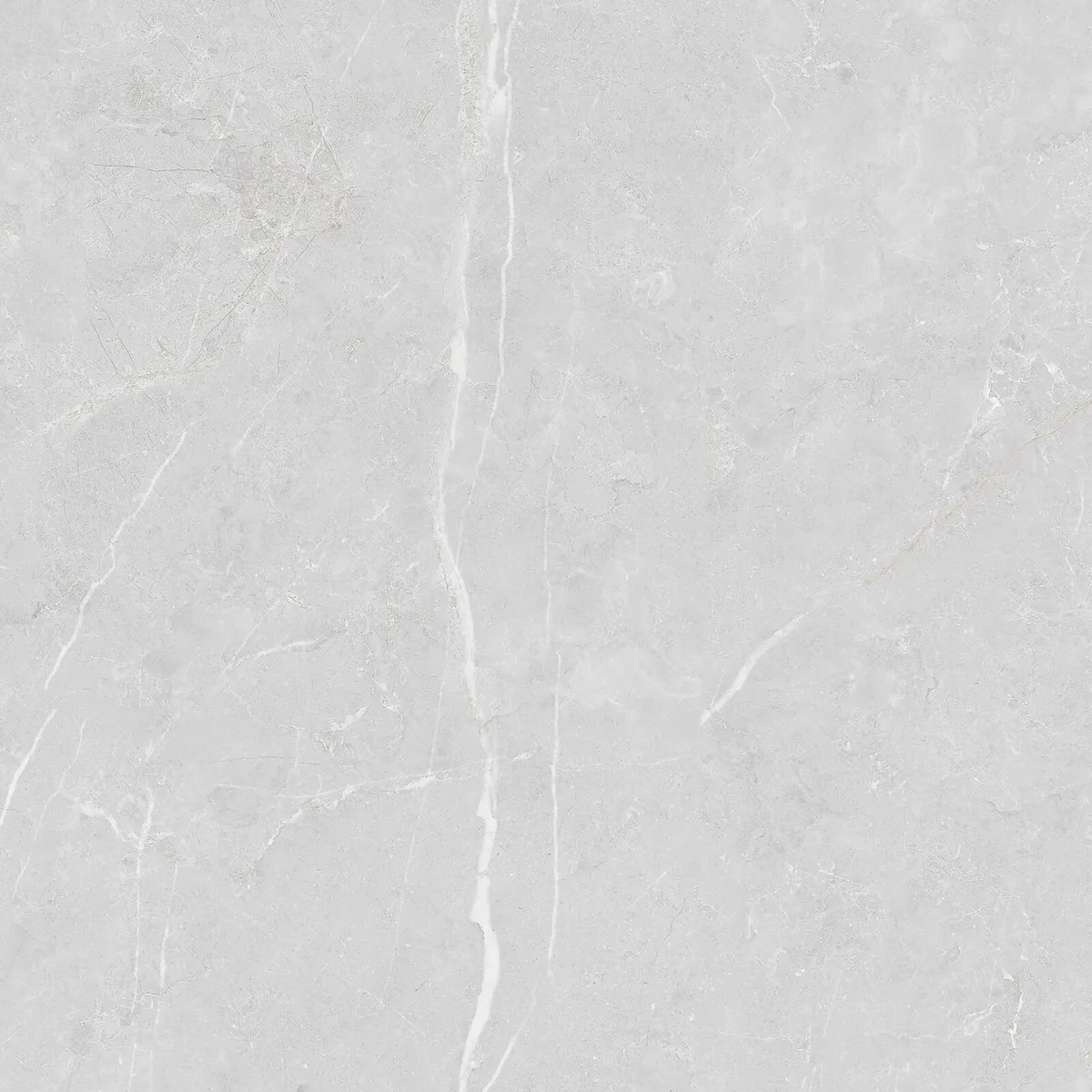 Porcelain 60x60 tiles - Image 1