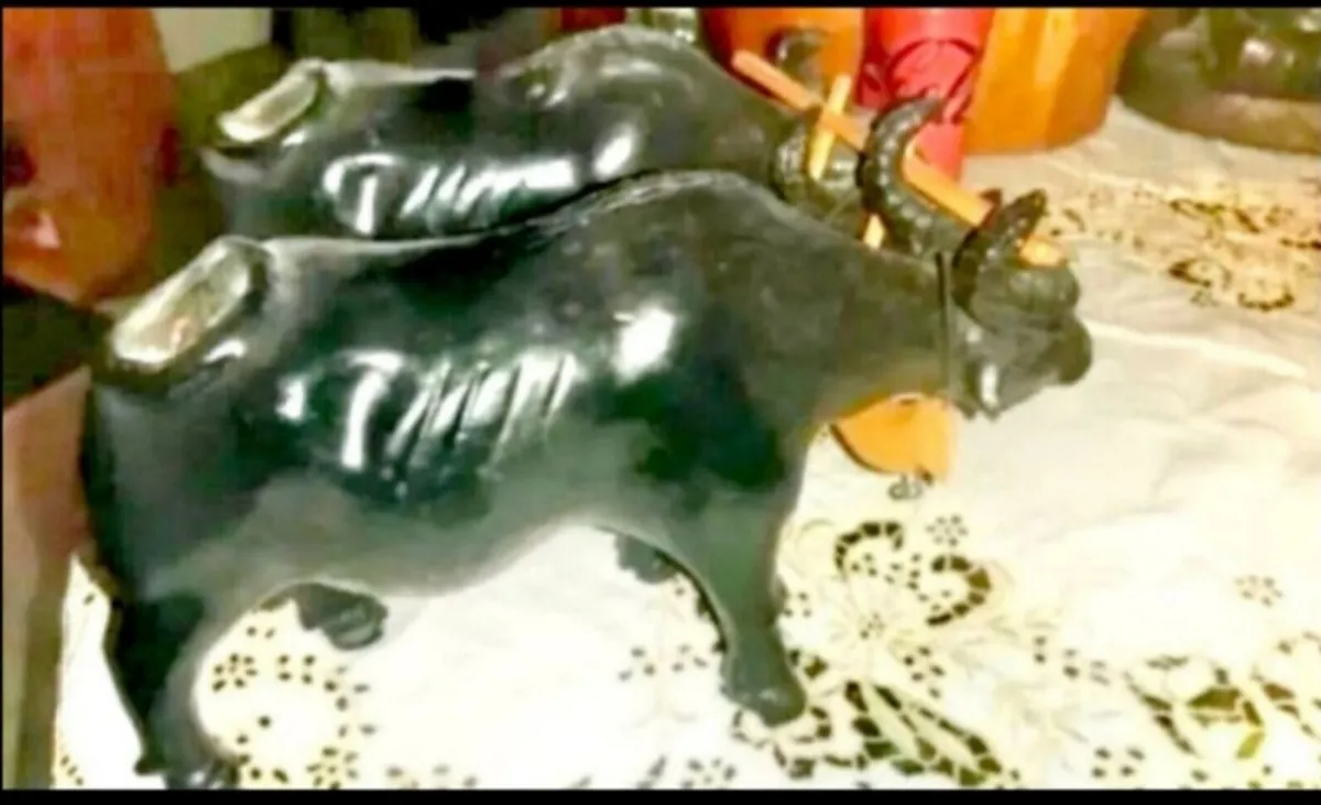 Rare pair of glazed terracotta ox - Image 2