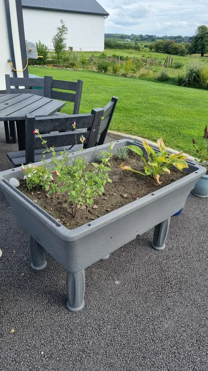 Raised Bed - Oasis - Image 4