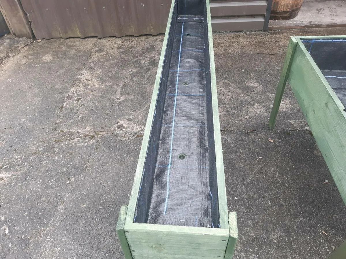 ivy trellises - Image 4