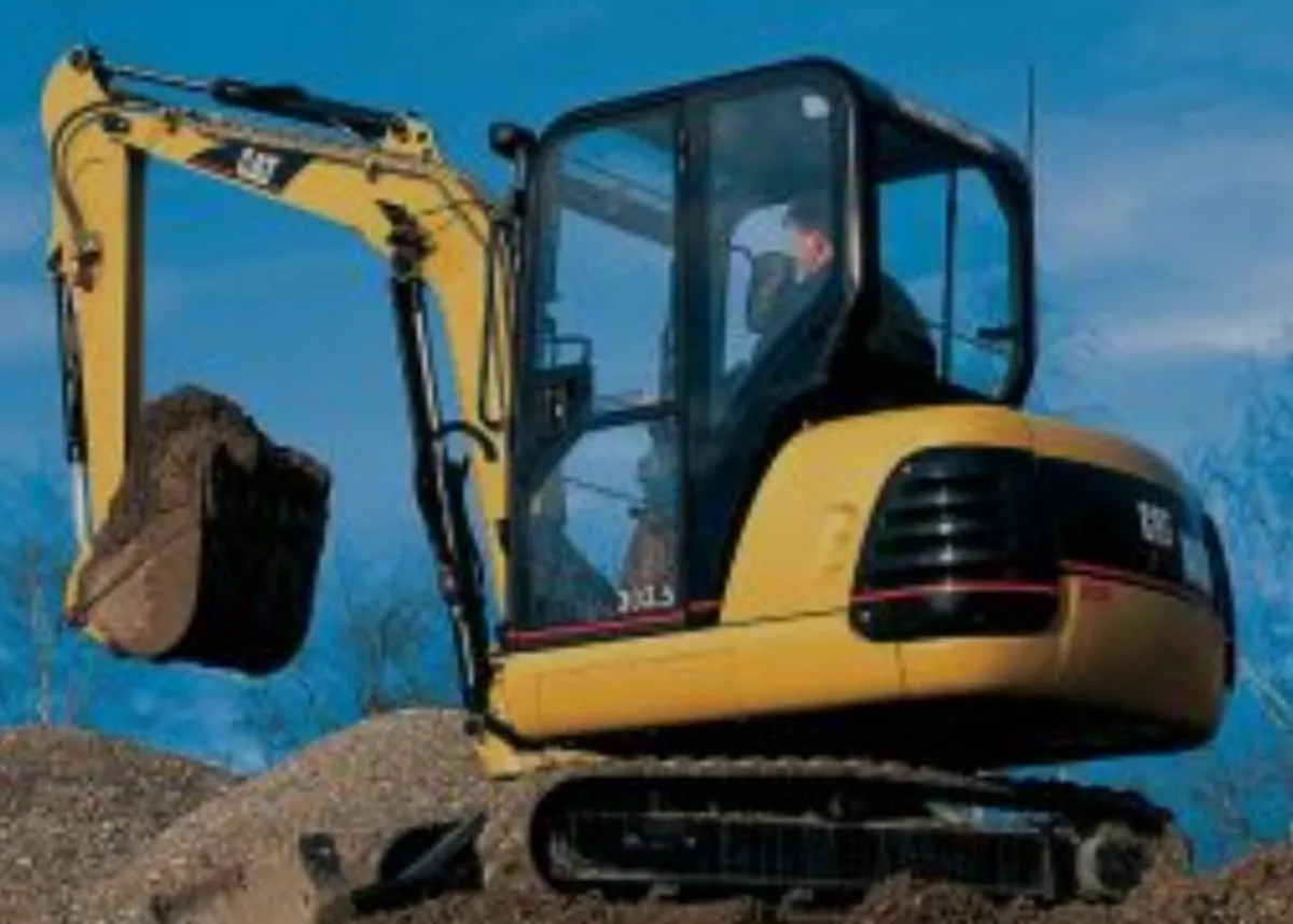 Cat Wanted for Export - Image 3