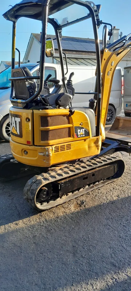 Cat Wanted for Export - Image 4