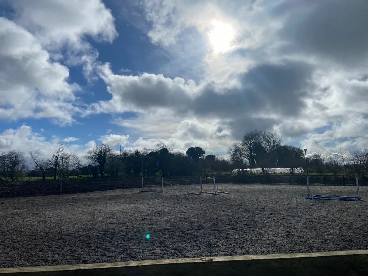 full livery - Image 4