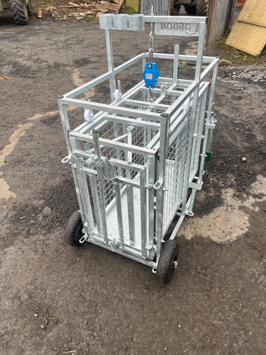 Condon Lamb weigh bridge - Image 2