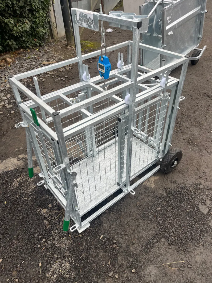 Condon Lamb weigh bridge - Image 3