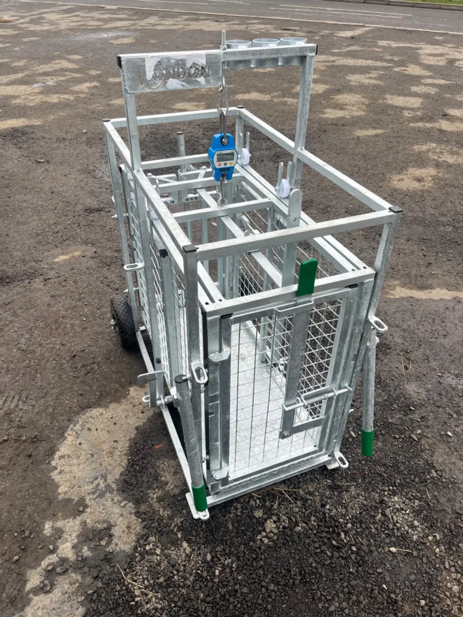 Condon Lamb weigh bridge - Image 1