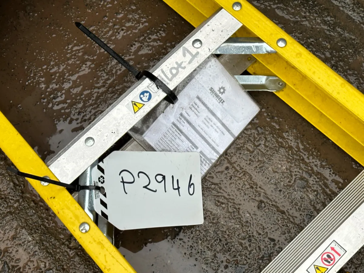 Werner Ladder - Image 2