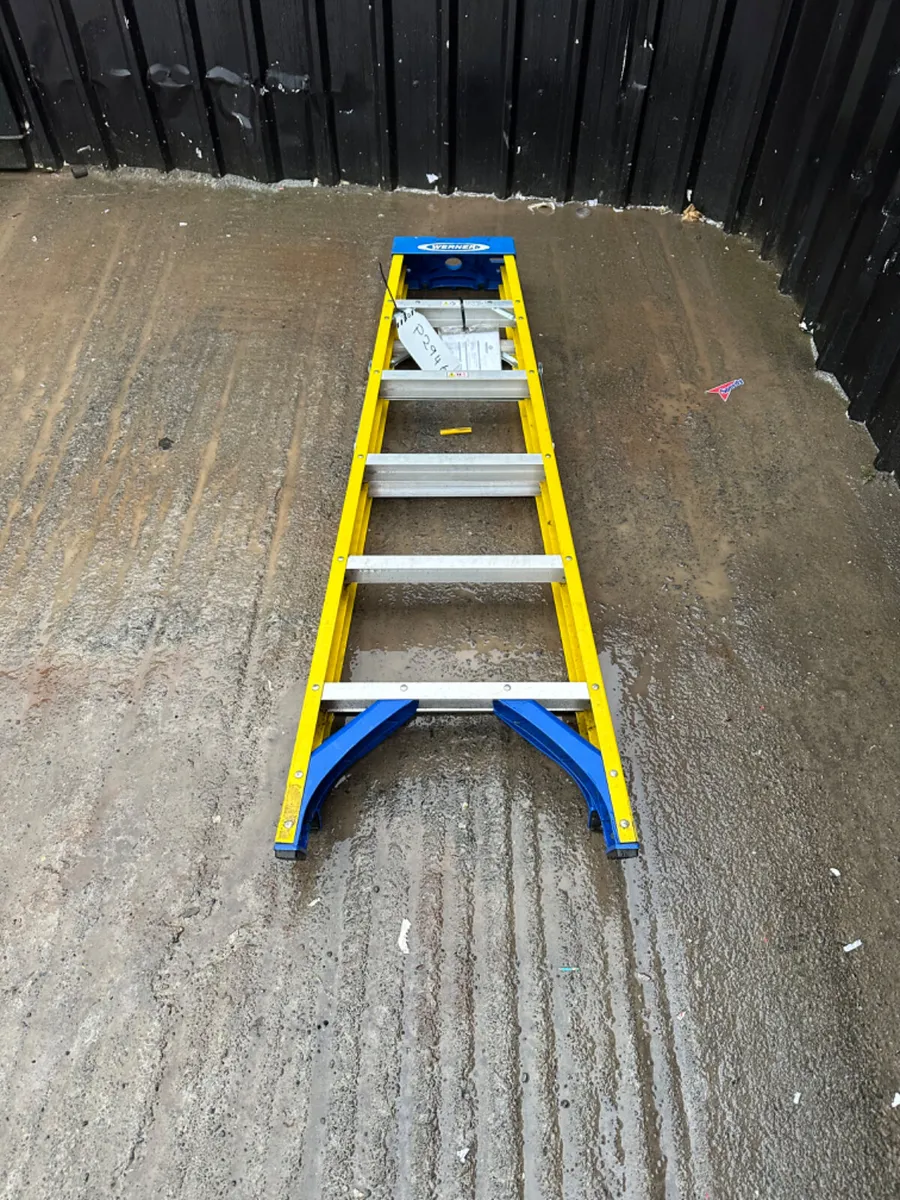 Werner Ladder - Image 1