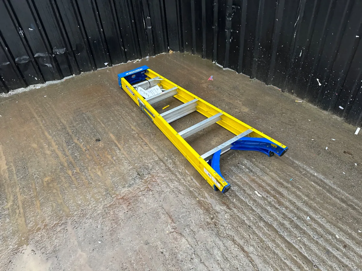 Werner Ladder - Image 4