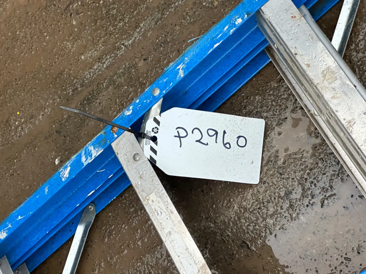 10 Step Step Ladder - Image 2