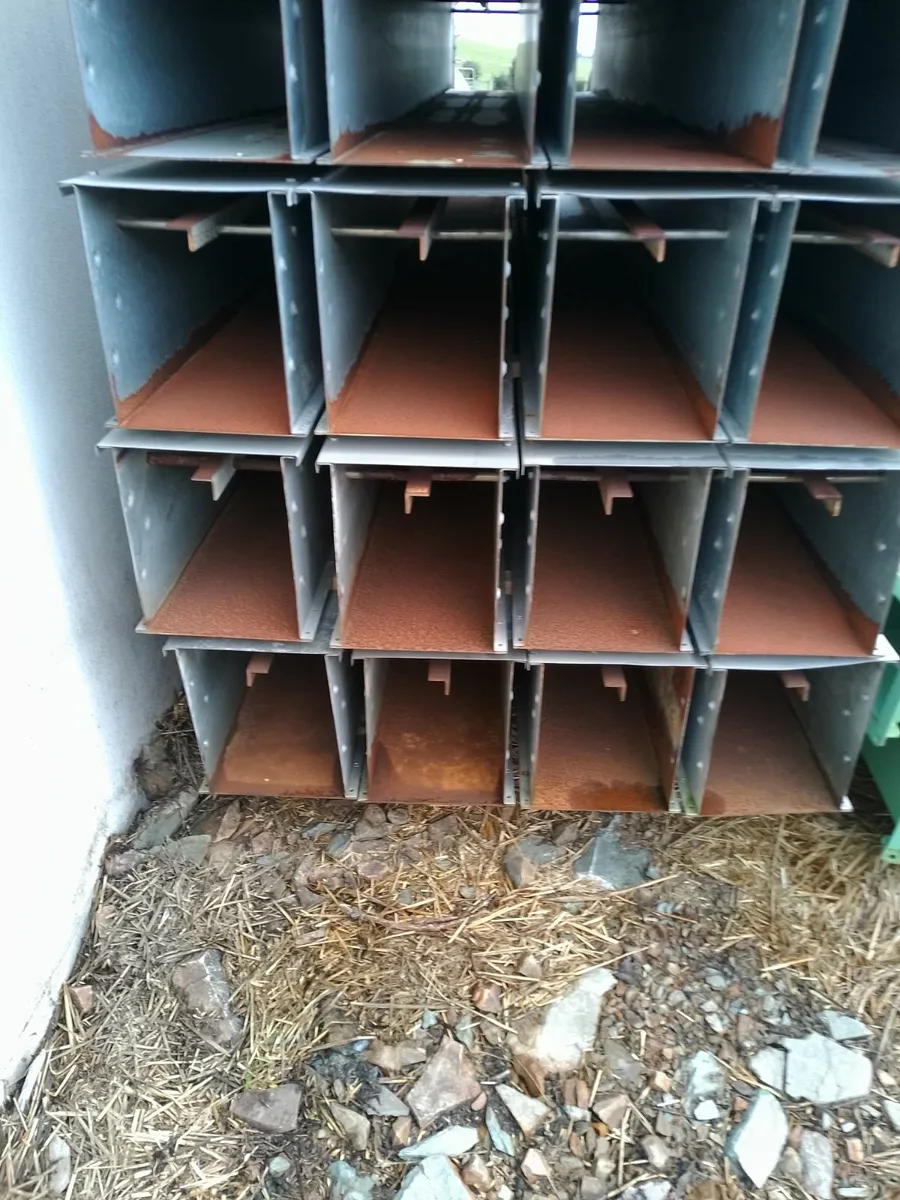 Grain conveyor no vat - Image 4