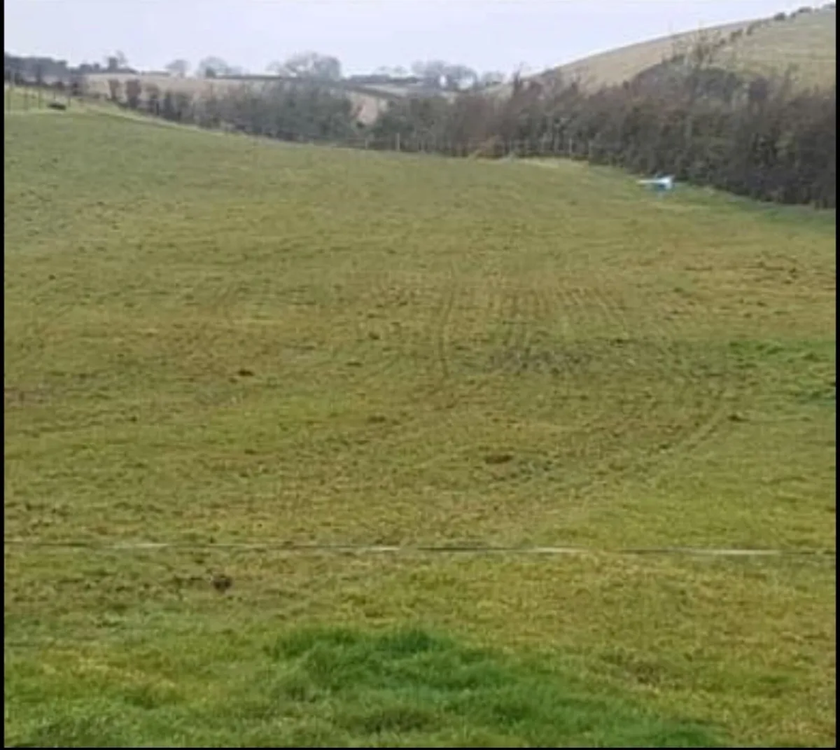 Grass / Arena Harrow - Image 3