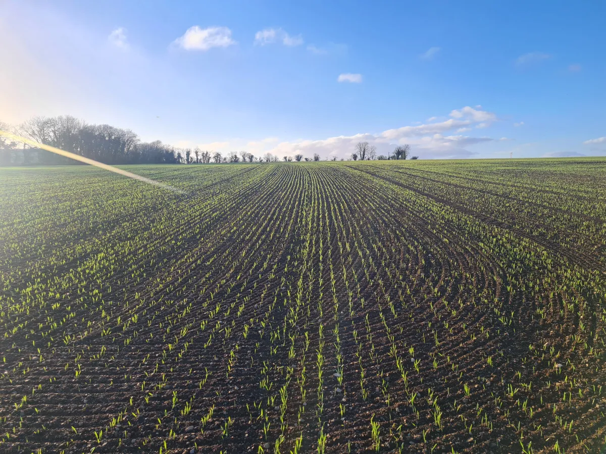 Kuhn Lely 3 metre seeder.   New type holders on ha - Image 3
