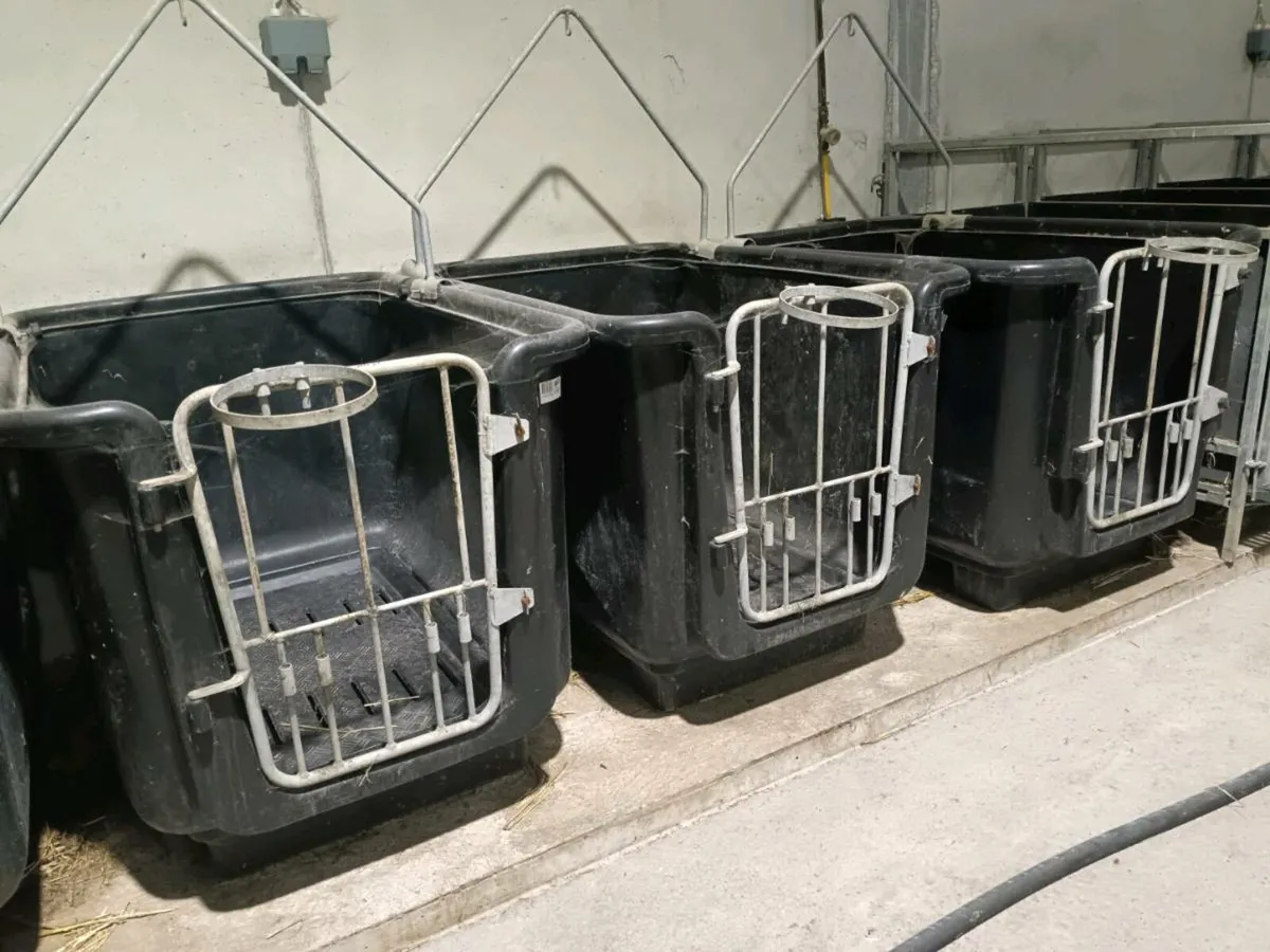 2026POWER WASHING SERVICE AVAILABLE - Image 2