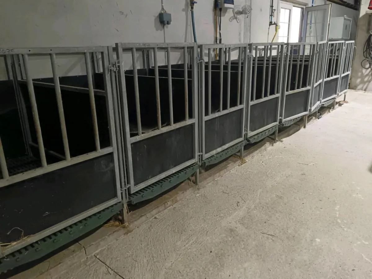 2026POWER WASHING SERVICE AVAILABLE - Image 3