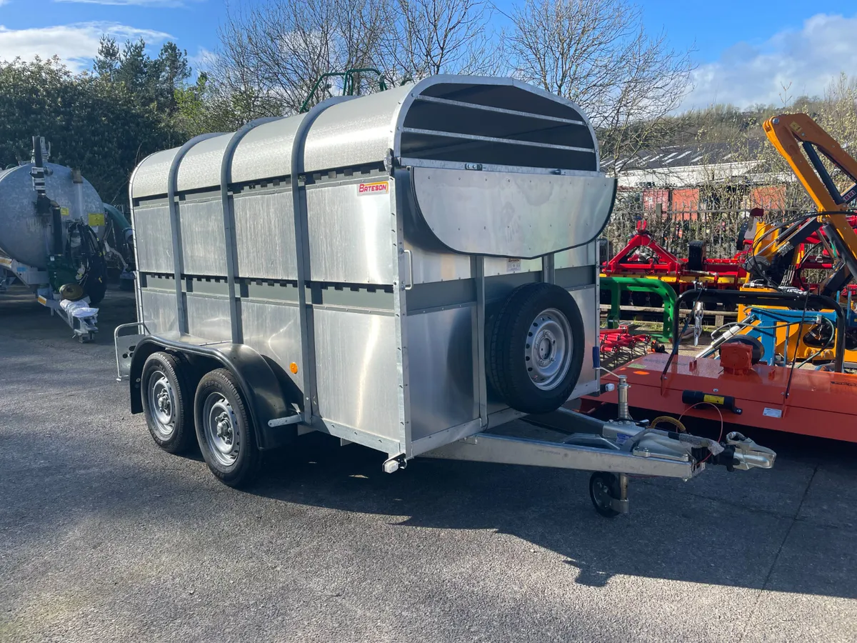 Bateson Cattle Box 12'x6' - Image 1