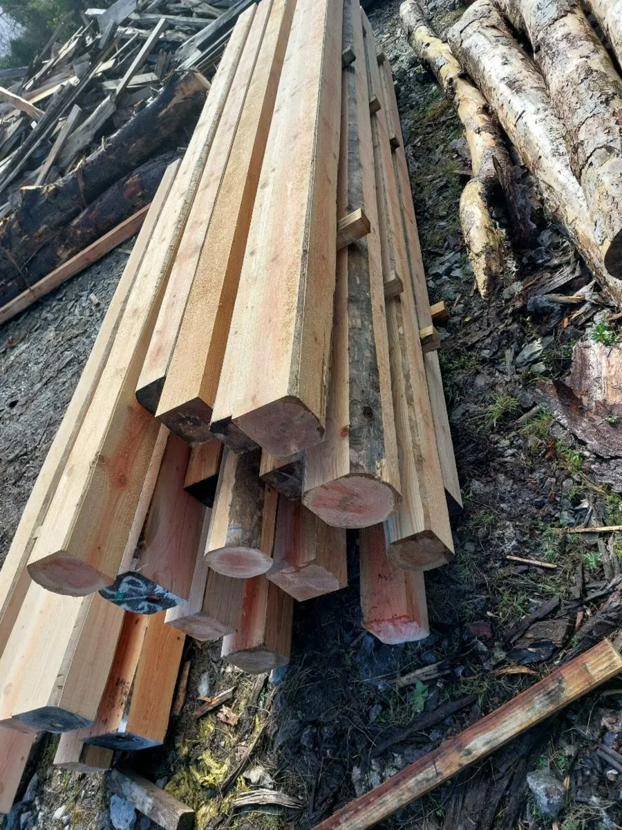 Douglas Fir Beams - Image 3