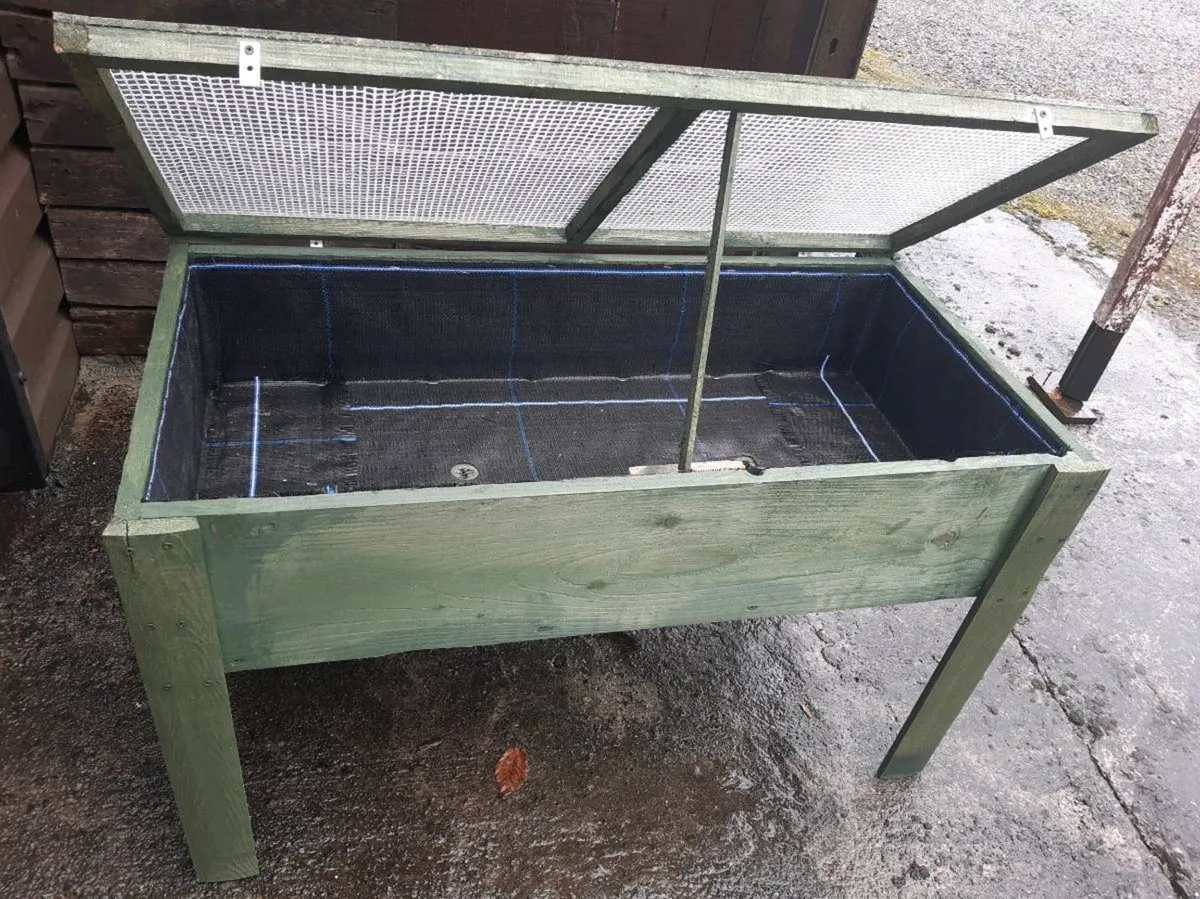 ivy trellises - Image 2