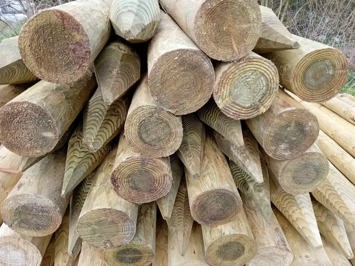 fencing stakes - Image 4