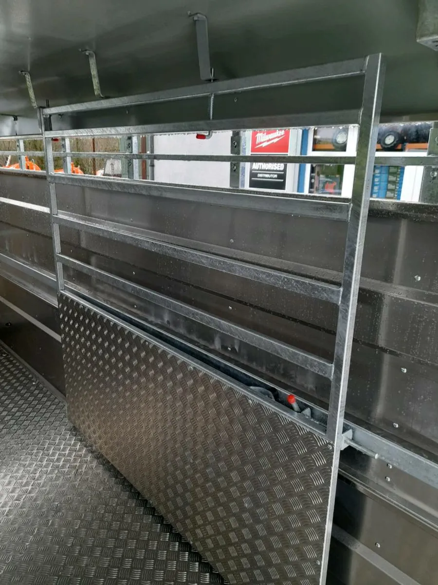 New Mtec Livestock Trailer - Image 4