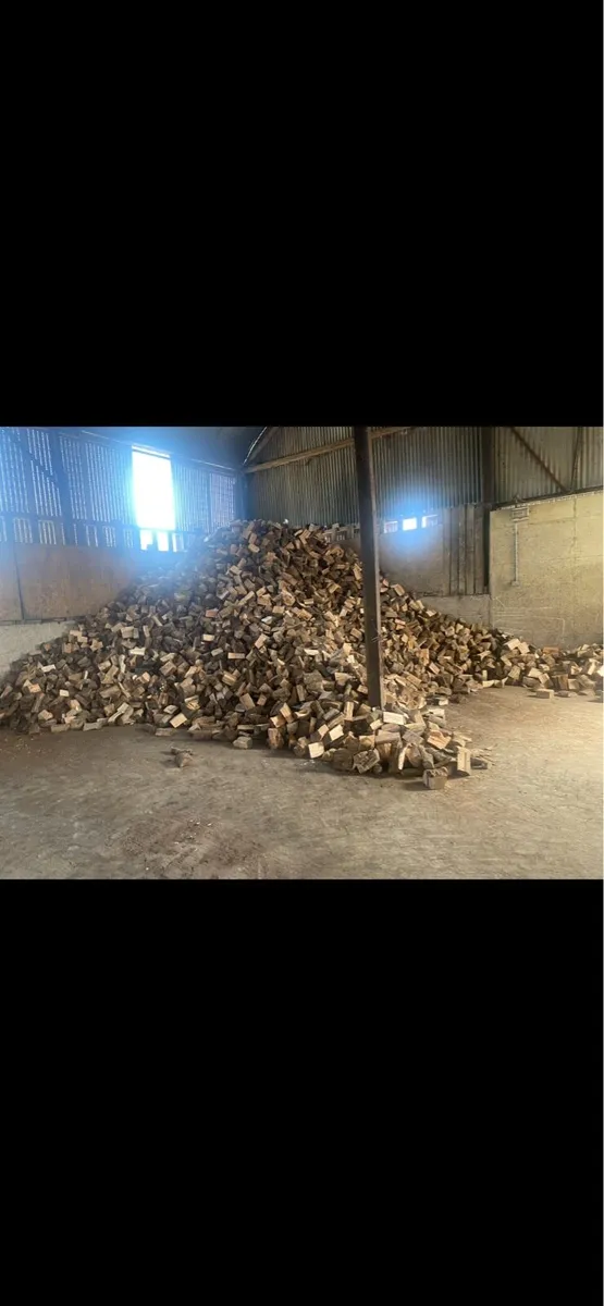 Hardwood Firewood rings - Image 4