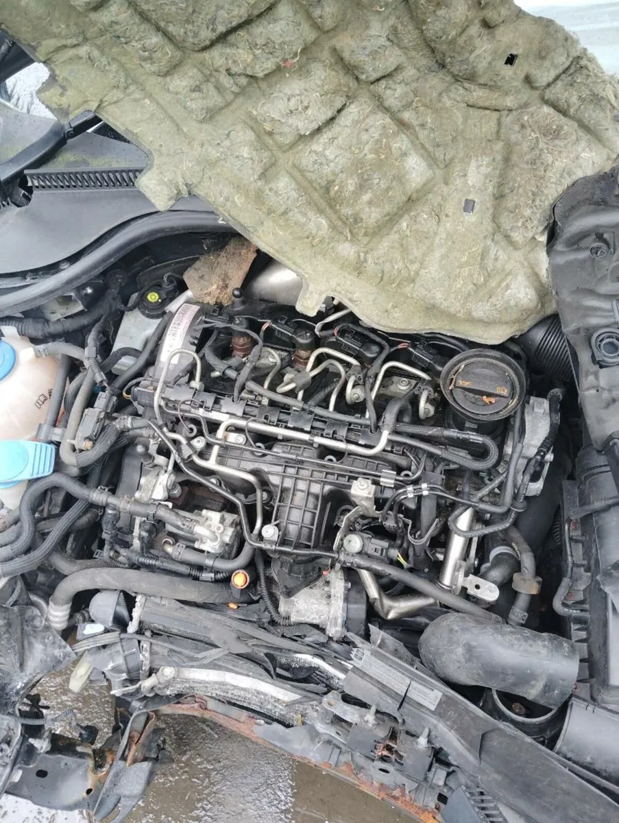 Breaking golf 2009 1.6tdi cay - Image 4