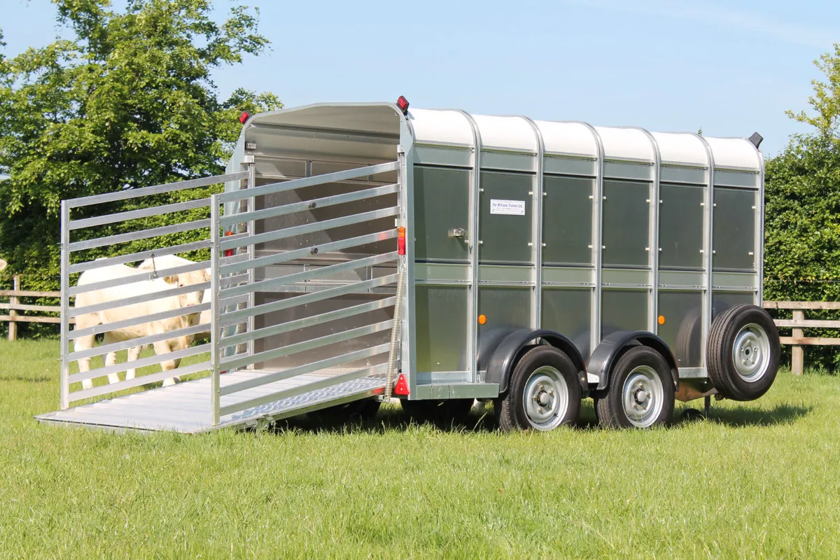 New TA510 12' x 5'10'' Ifor Williams Trailer - Image 2