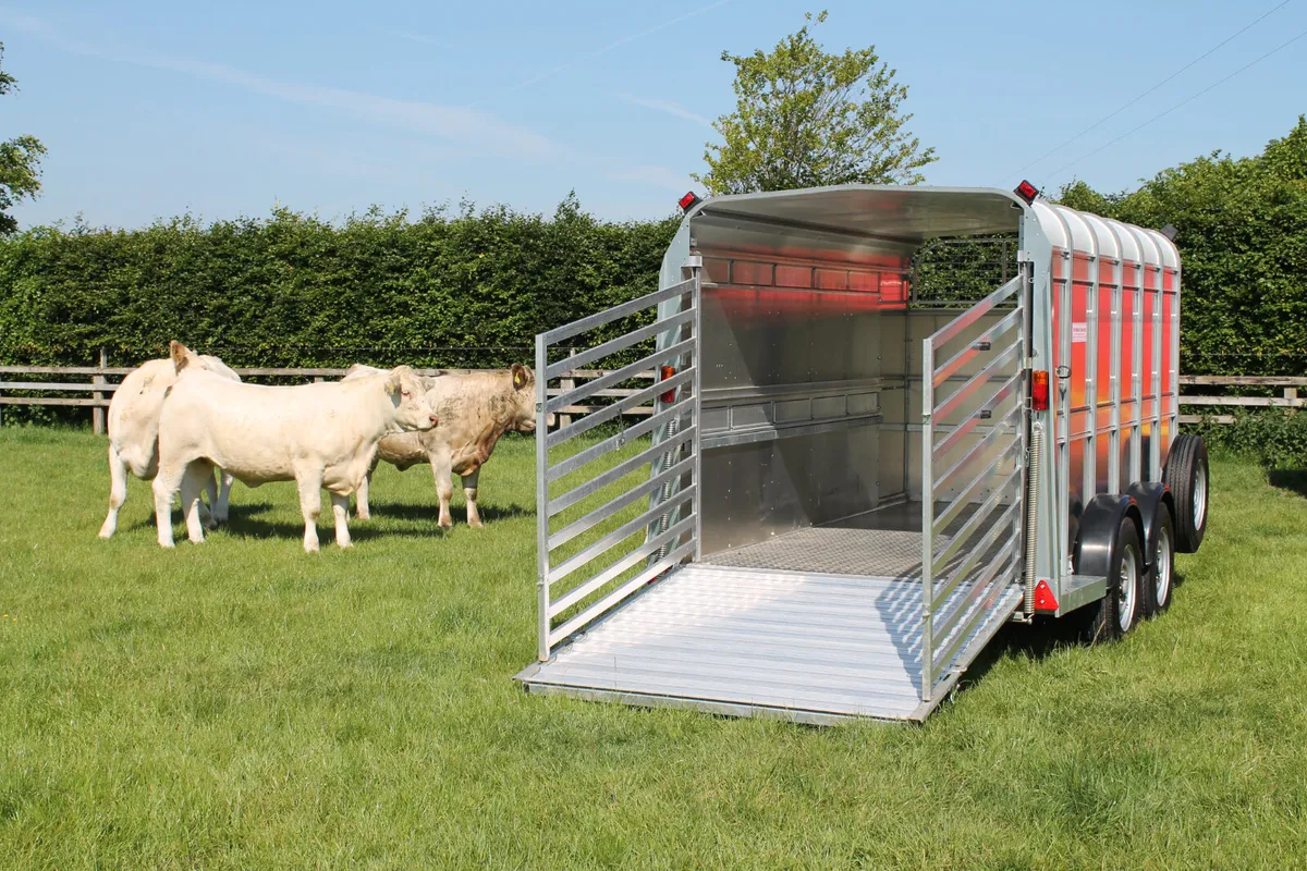 New TA510 12' x 5'10'' Ifor Williams Trailer - Image 3