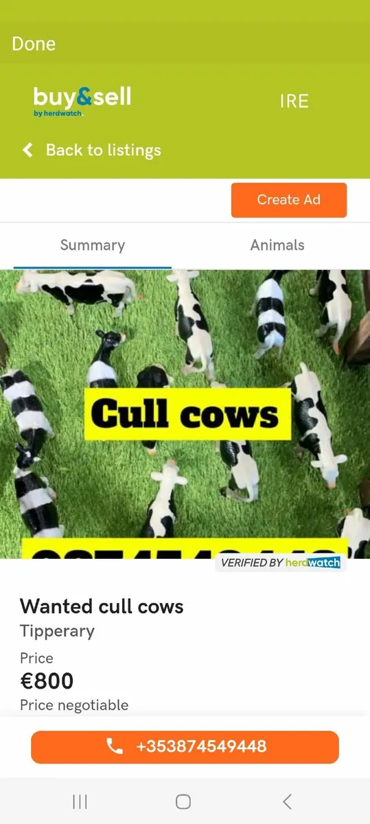 Purchasing all types of cattle