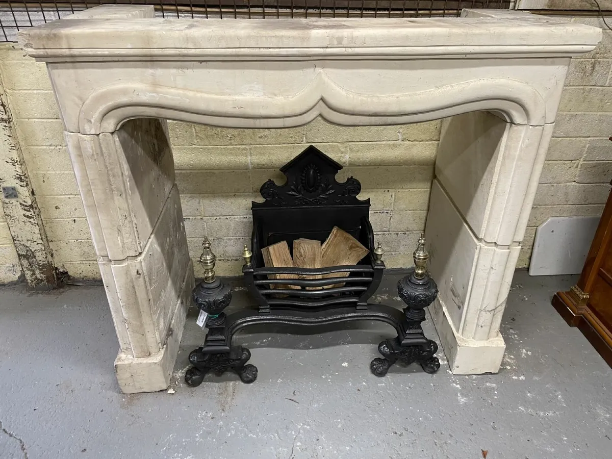 Victorian Cast Iron  & Brass Antique Fire Grate - Image 2