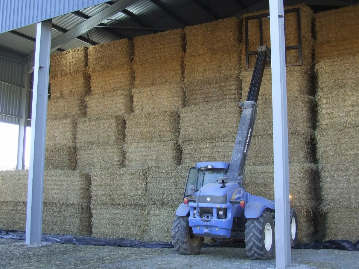 Precision chopped Straw and Alfalfa - Image 3