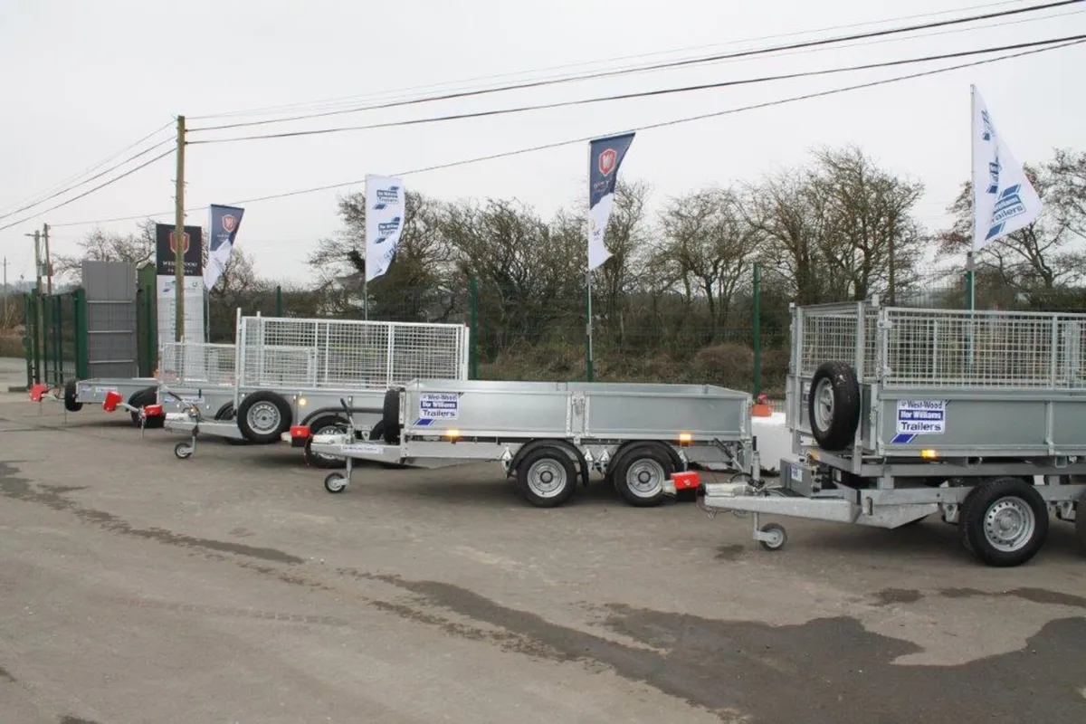 New Lm146 14' x 6'6 Ifor Williams Trailer - Image 4