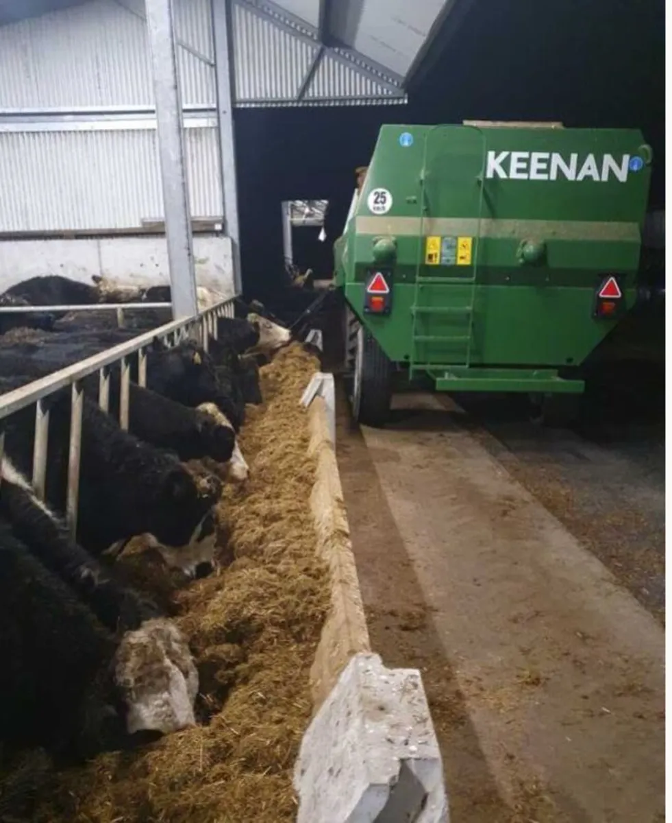 KEENAN diet feeders - Image 3