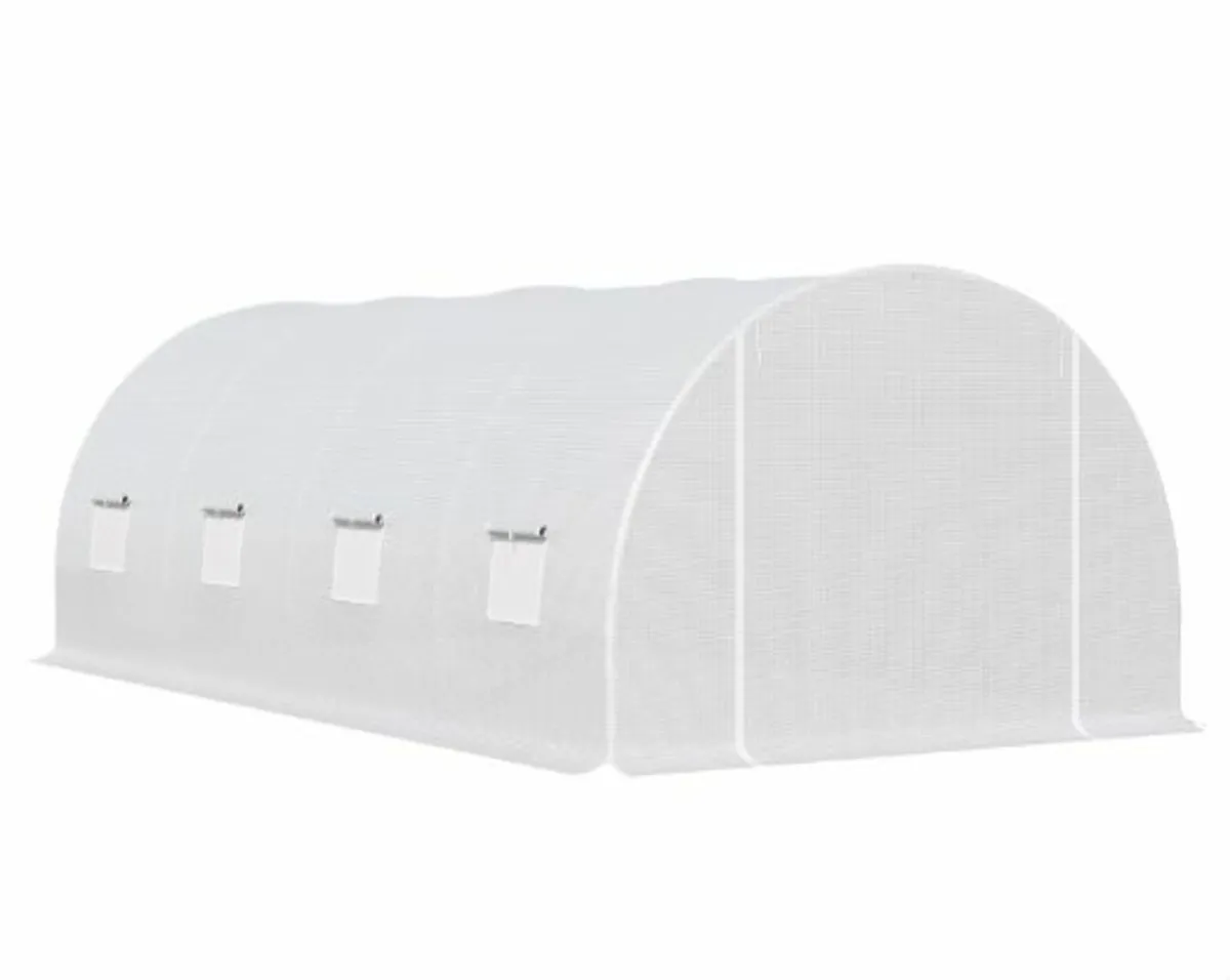POLYTUNNEL - Image 4