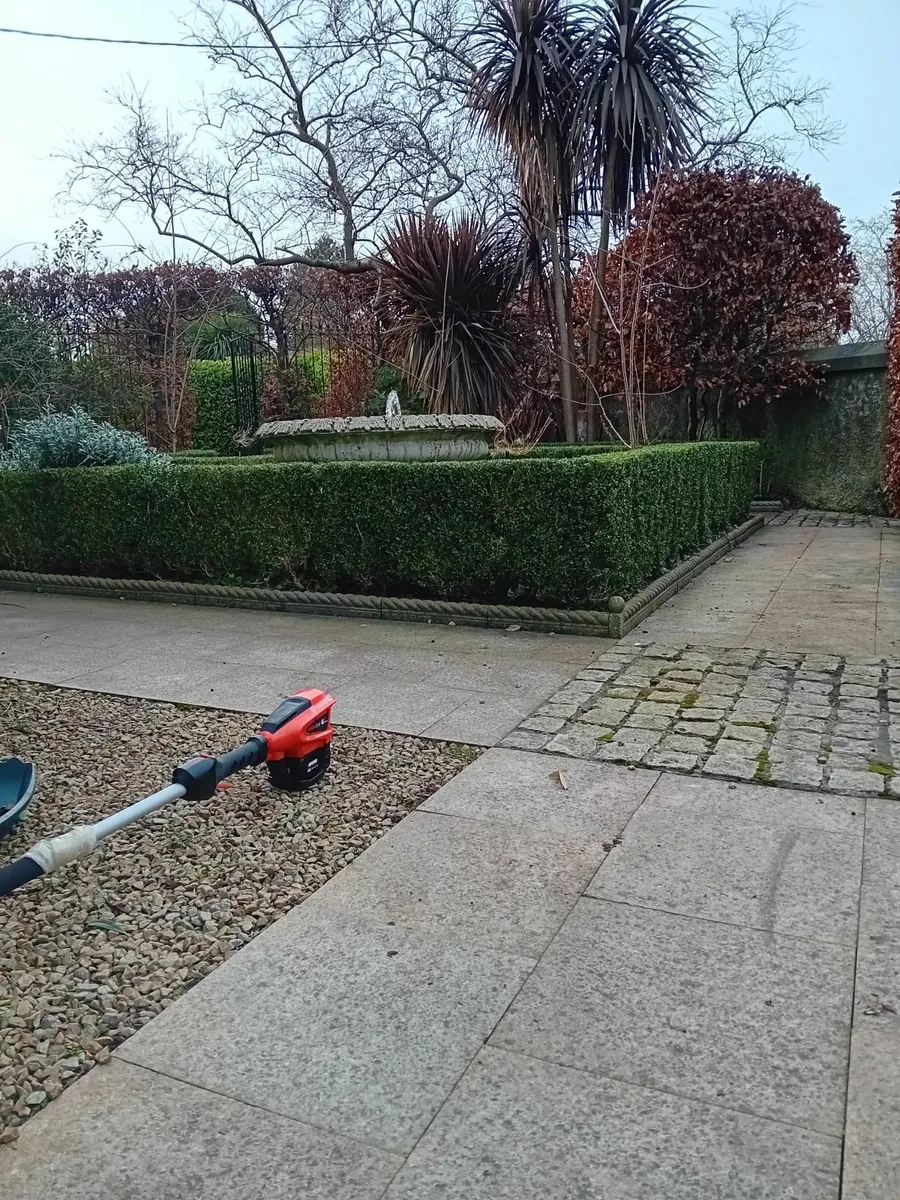 Gardening handyman - Image 3