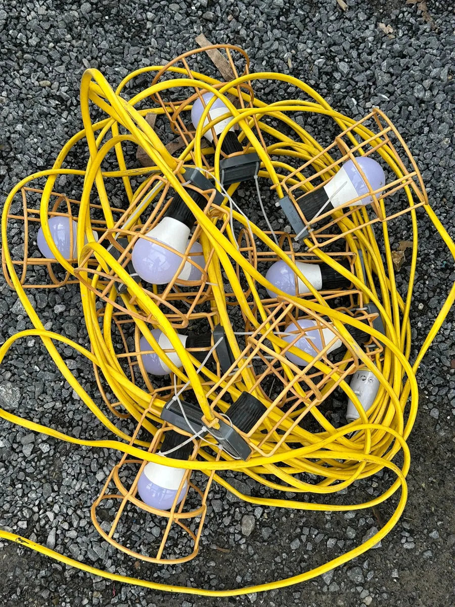 Festoon Lights Low Energy 10 LED Bulbs - Image 2