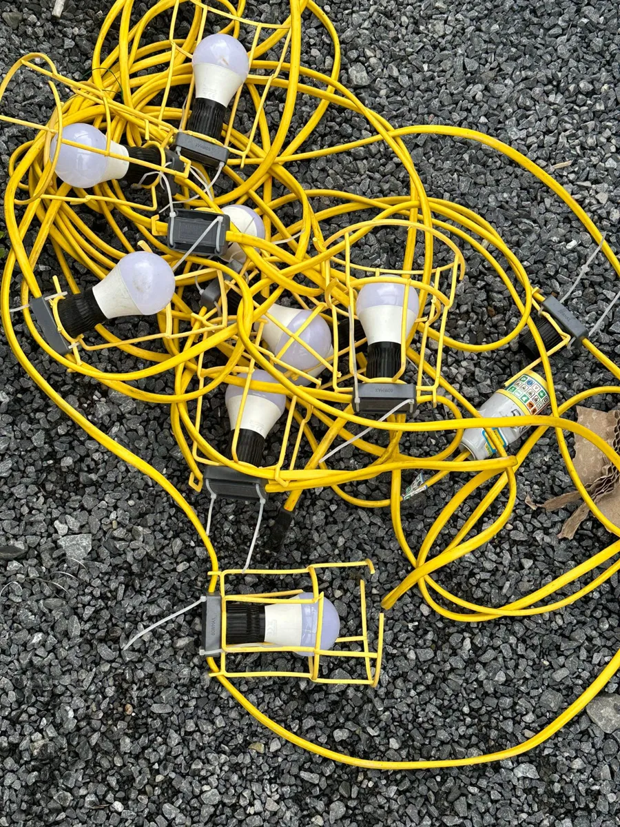 Festoon 22M Light Set - Image 3