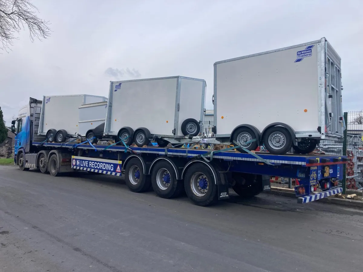 NEW Ifor Williams Boxvan IN STOCK