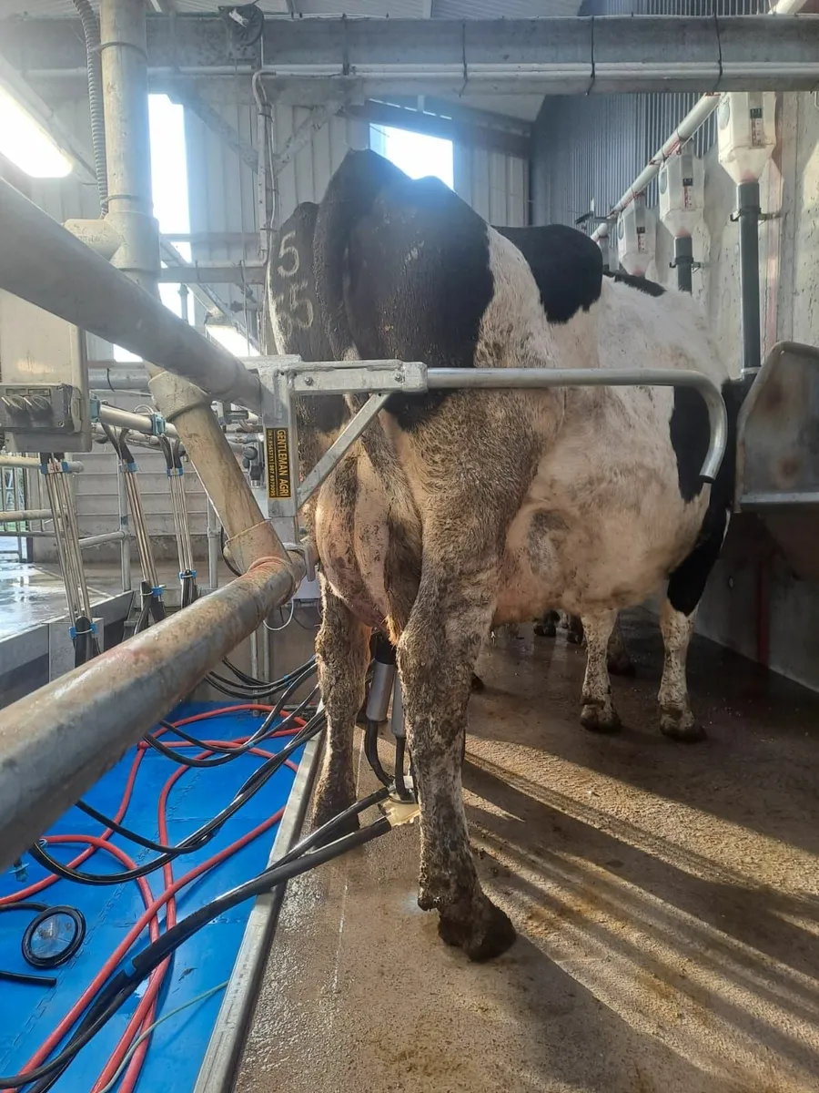 Milking Parlour Multi Parlour Restriction Bar - Image 3