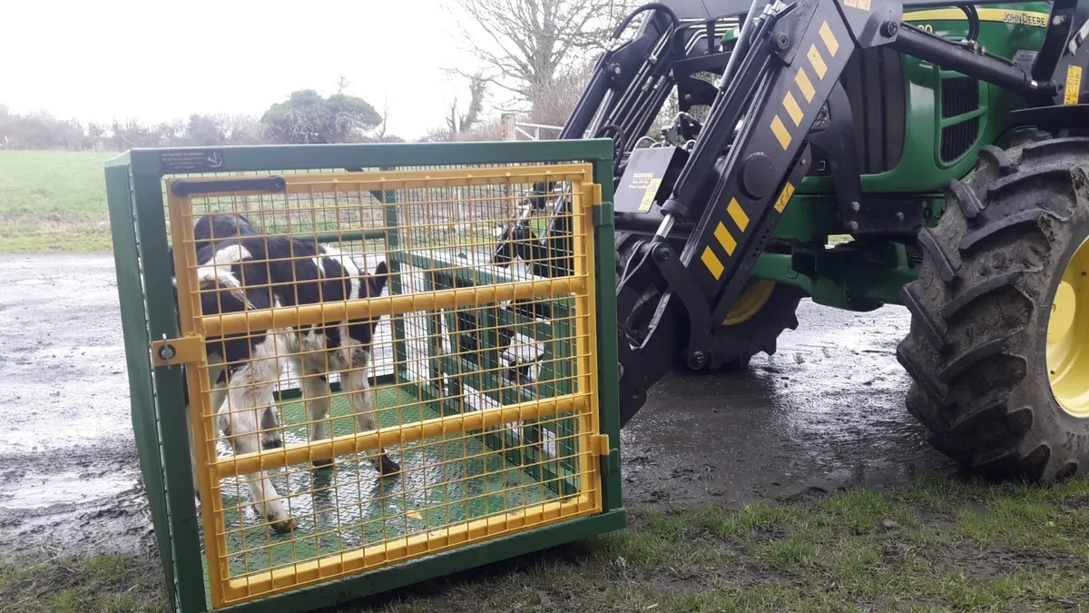 calf transport basket euro brackets - Image 4