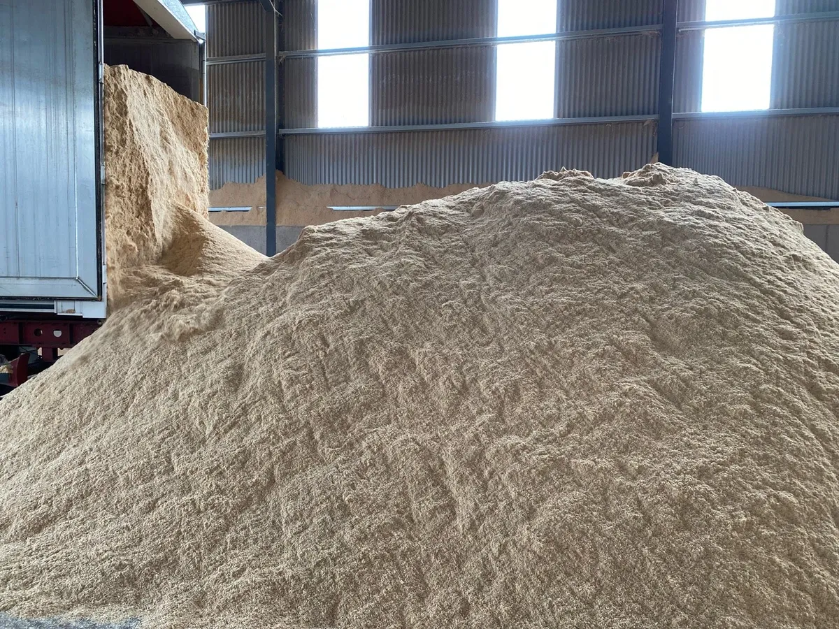 Bulk walking floor loads of sawdust and wood chip - Image 1