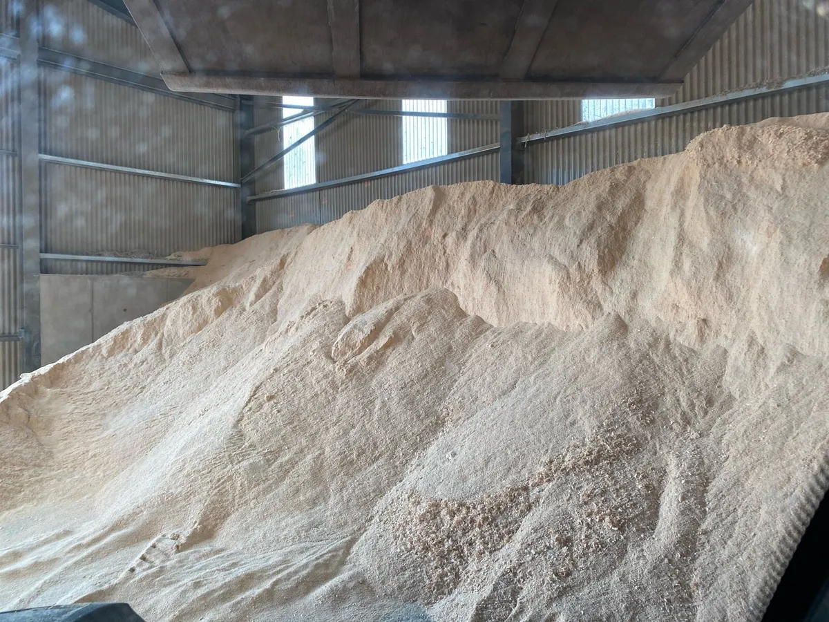 Bulk walking floor loads of sawdust and wood chip - Image 2