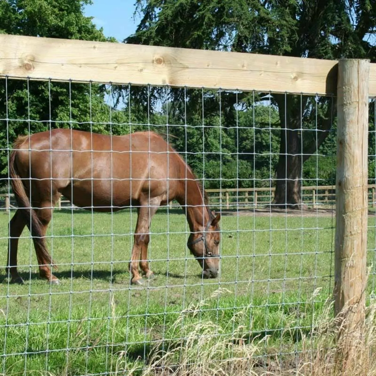 Commercial Poultry and Horse Fencing Materials - Image 1