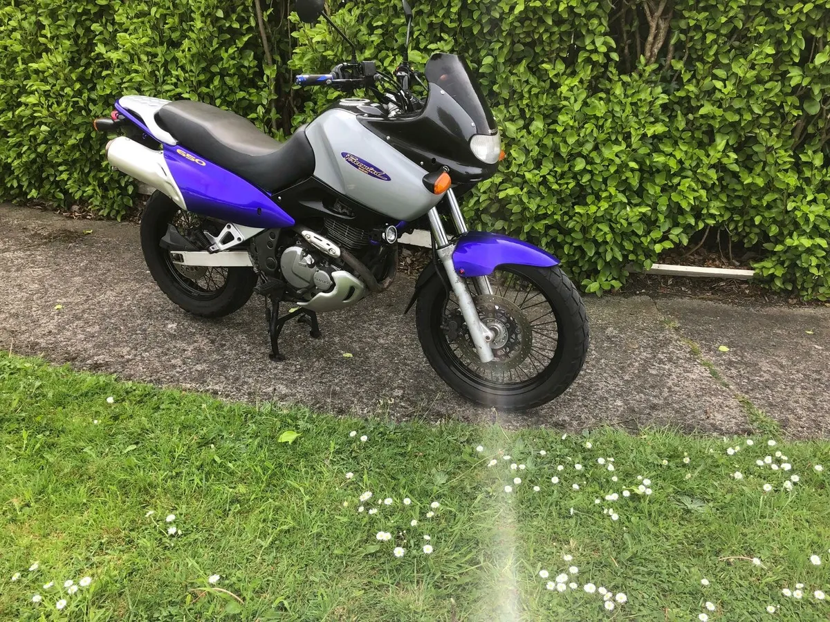 Suzuki freewind 650cc - Image 1