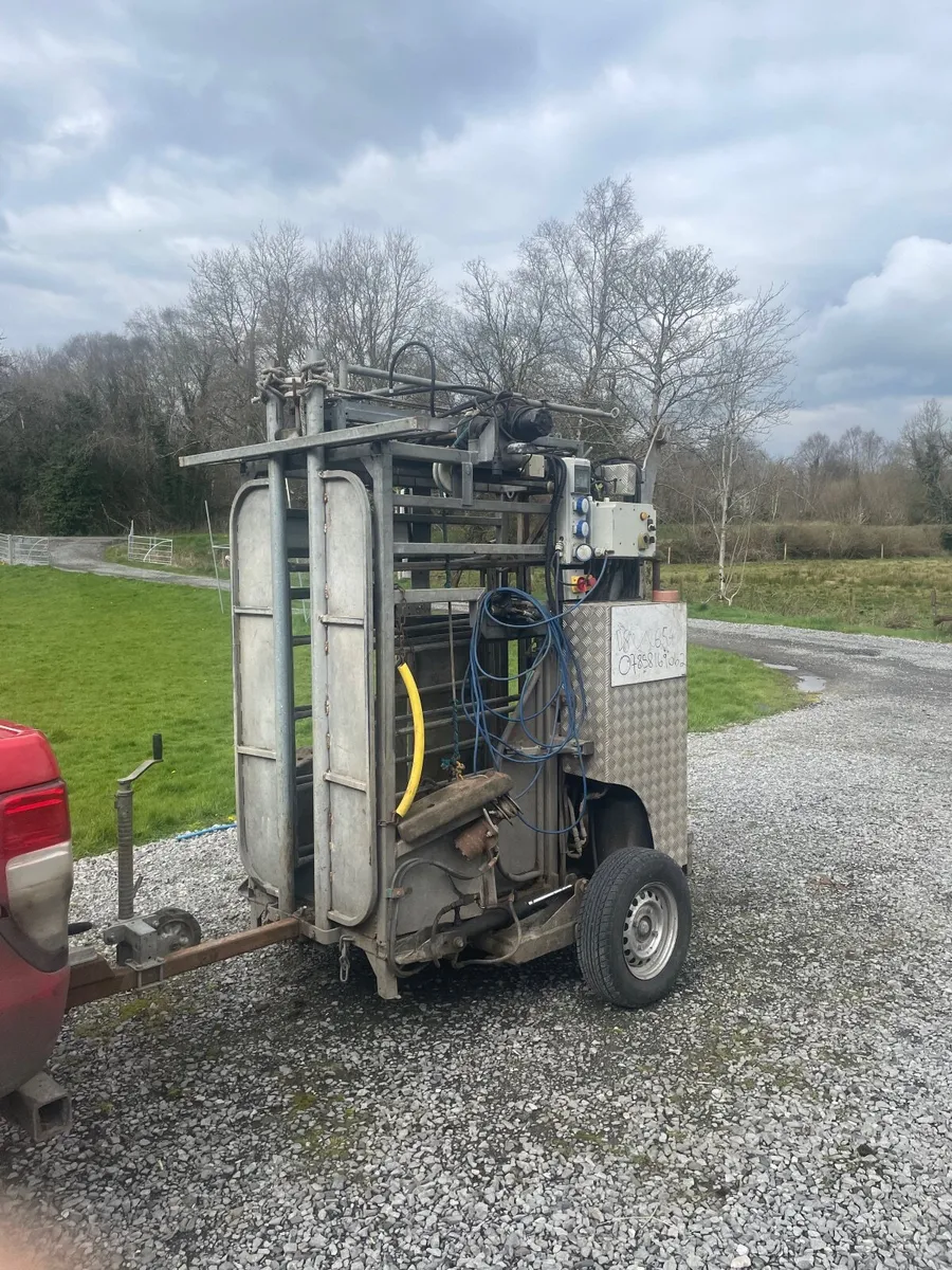 Hoof trimming - Image 3