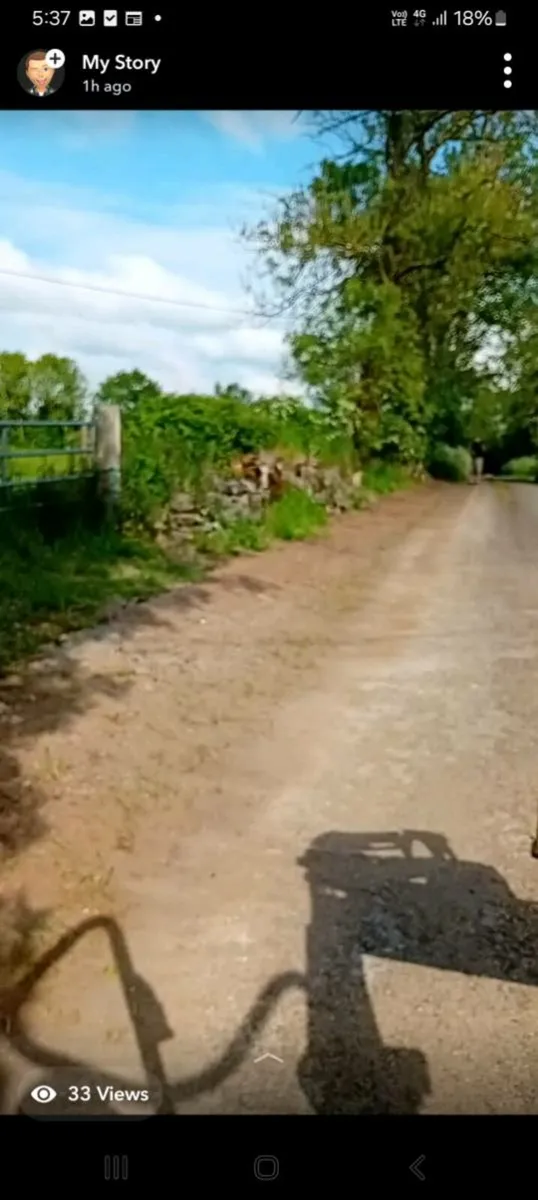 Carson landscapes - Image 3