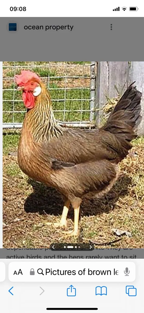 Carnmore Cross Saturday the 7th march - Image 4